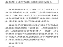 华电新能迎来副总经理