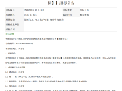 华能2GW海上风电项目重新招标！