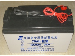 路灯专用胶体蓄电池图1