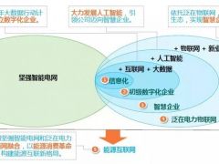 湖南电力总经理李生权:以数字化转型推进“三型两网”战略全面落地