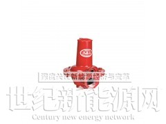 RAF燃气安全放散阀  燃气超压放散阀 燃气放散阀的作用图1
