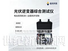 Z-15追光逆变器性能检测仪  光伏功率分析测试设备图1